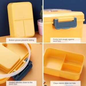 Wheat straw lunch box 6